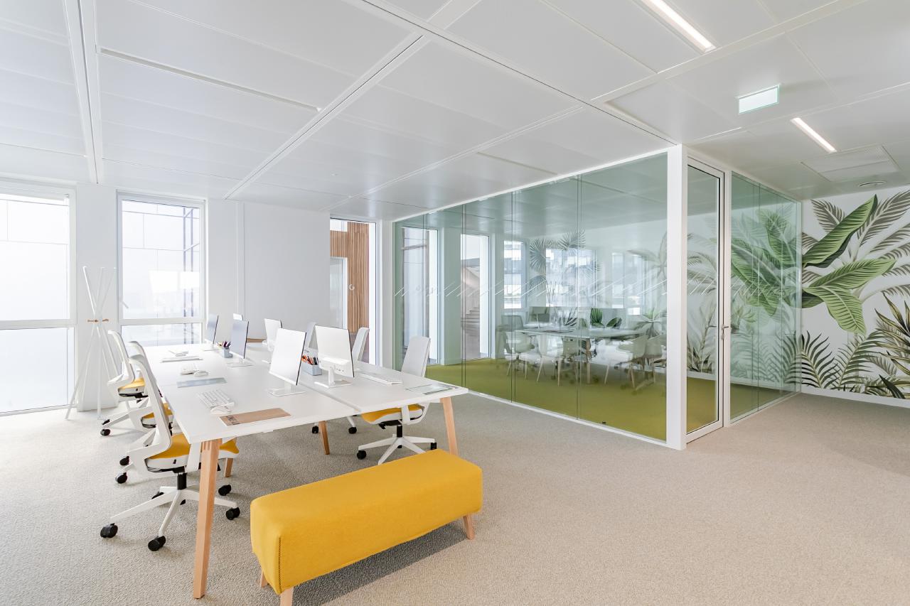 Bureau La Plaine Saint-Denis 10356m² Location bureau La Plaine Saint-Denis Seine-Saint-Denis OLBUR2100311 11